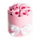 Rosenbox Celebration - Englisch Rose Pink 11 Rosen